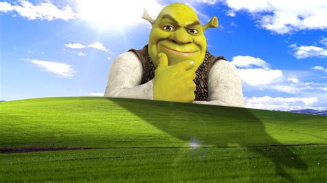 shrek meme wallpaper